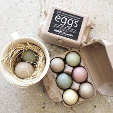 Dindi Naturals Egg Soap – 1/2 Dozen