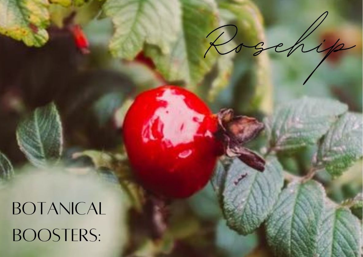 Read more about the article Botanical Boosters: Rosehip Oil