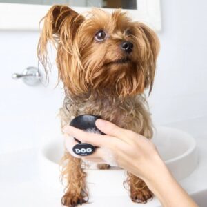 Dog Wash Brush