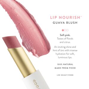 Lip Nourish Trio Gift Pack – Sheer Delight