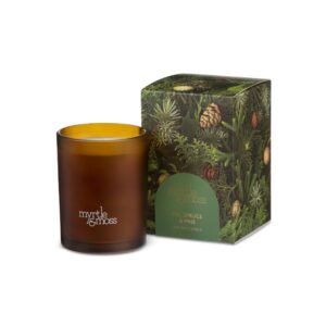 Christmas Candle – Fir, Pine & Spruce